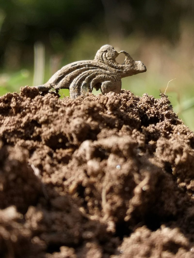 Archaeology Excavation